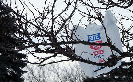 plastic bag