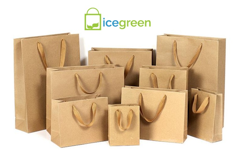 Reusable Paper Bags