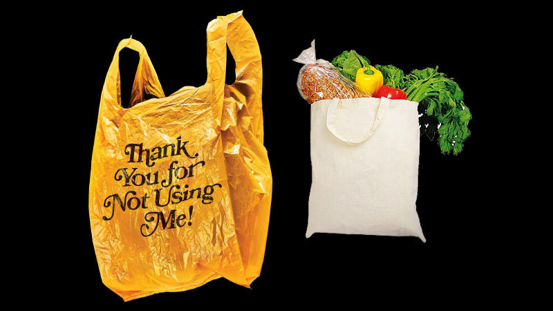 Reusable shopping bags